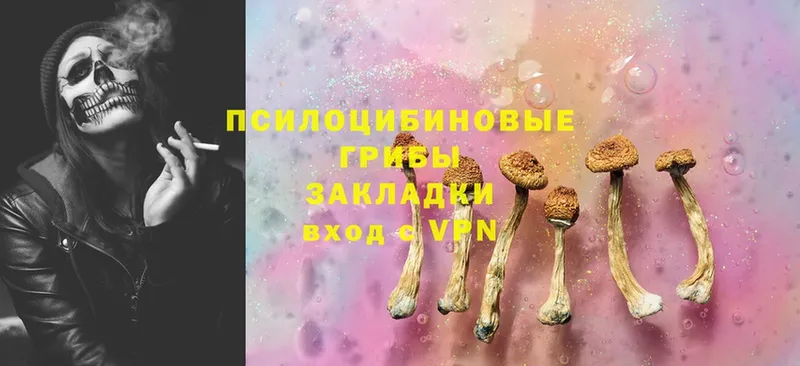 дарнет шоп  Вытегра  Псилоцибиновые грибы Magic Shrooms 