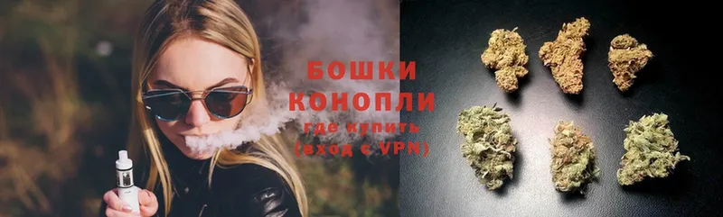 Бошки марихуана SATIVA & INDICA  что такое   Вытегра 